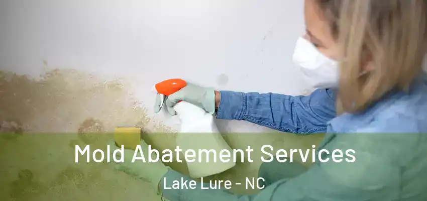  Mold Abatement Services Lake Lure - NC