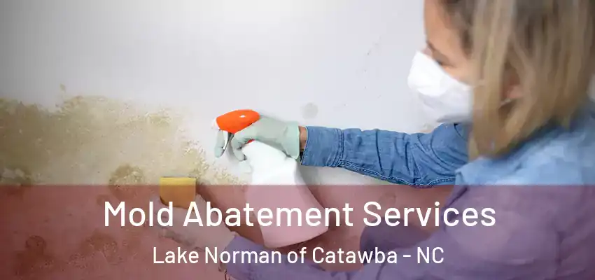  Mold Abatement Services Lake Norman of Catawba - NC