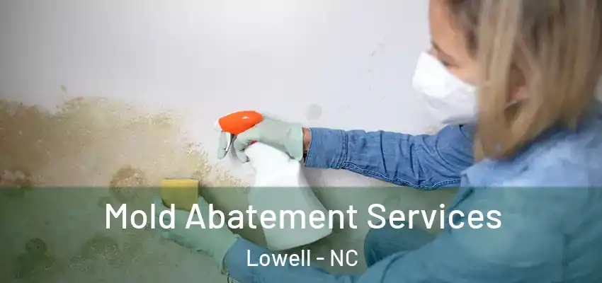  Mold Abatement Services Lowell - NC