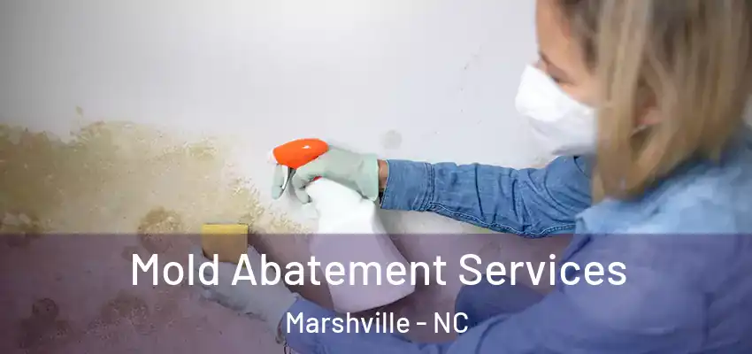 Mold Abatement Services Marshville - NC