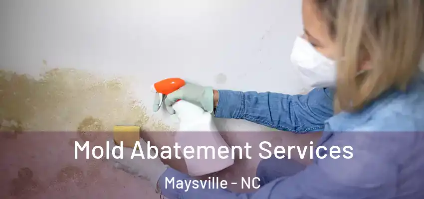  Mold Abatement Services Maysville - NC