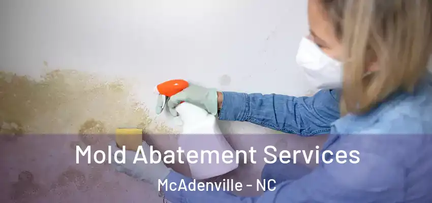  Mold Abatement Services McAdenville - NC
