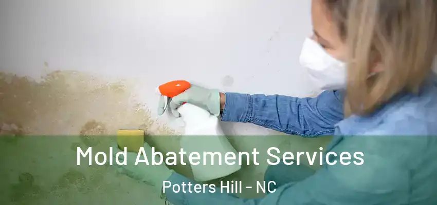Mold Abatement Services Potters Hill - NC