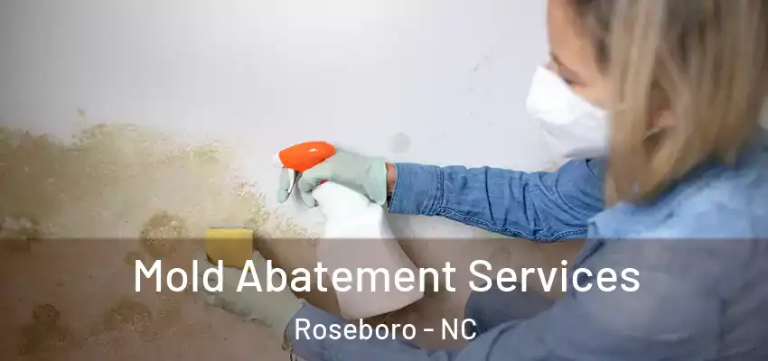 Mold Abatement Services Roseboro - NC