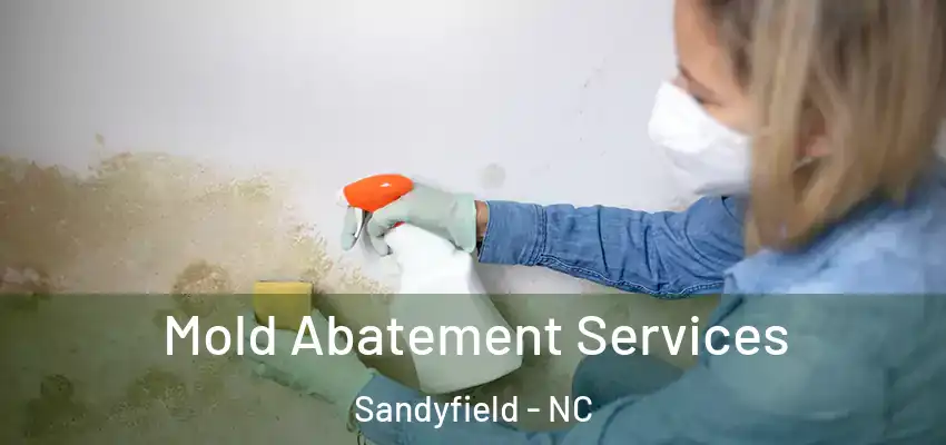  Mold Abatement Services Sandyfield - NC