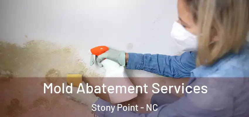  Mold Abatement Services Stony Point - NC