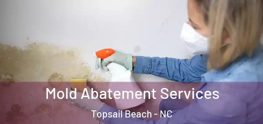 Mold Abatement Services Topsail Beach - NC