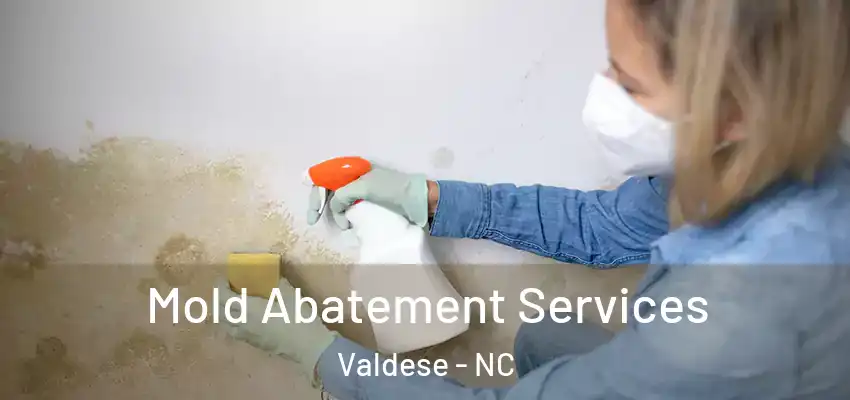  Mold Abatement Services Valdese - NC