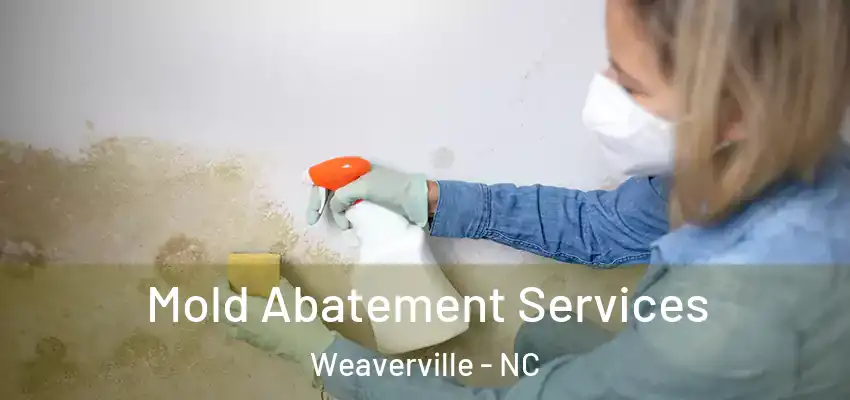 Mold Abatement Services Weaverville - NC