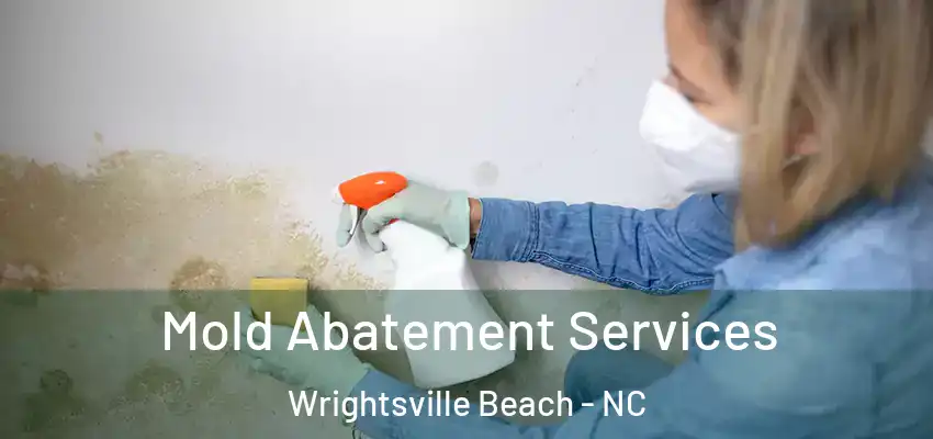  Mold Abatement Services Wrightsville Beach - NC