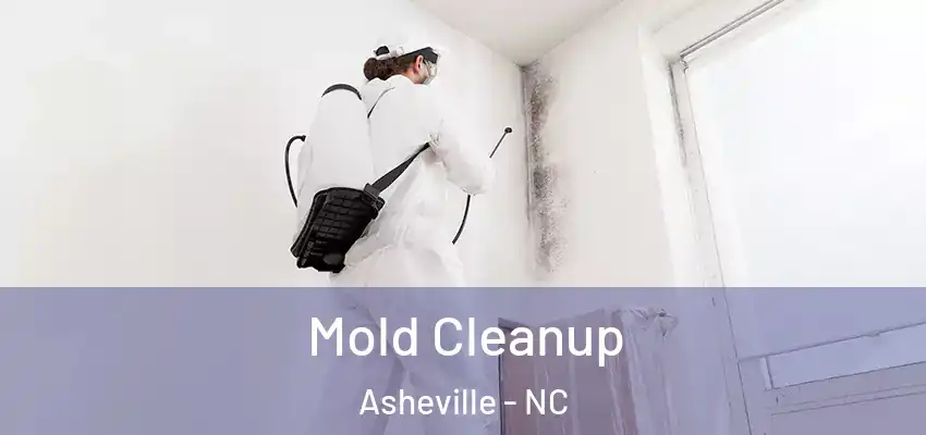 Mold Cleanup Asheville - NC