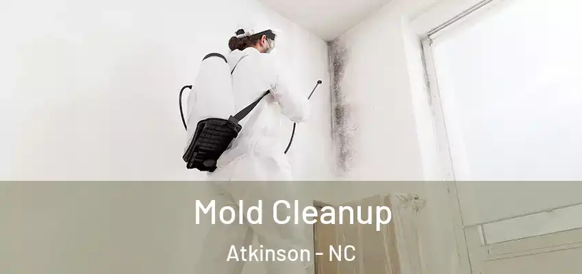  Mold Cleanup Atkinson - NC