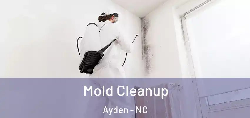  Mold Cleanup Ayden - NC