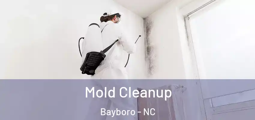 Mold Cleanup Bayboro - NC