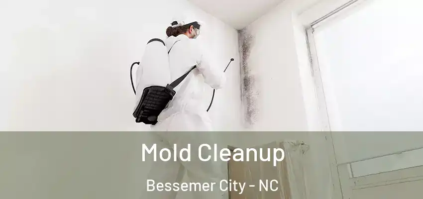 Mold Cleanup Bessemer City - NC