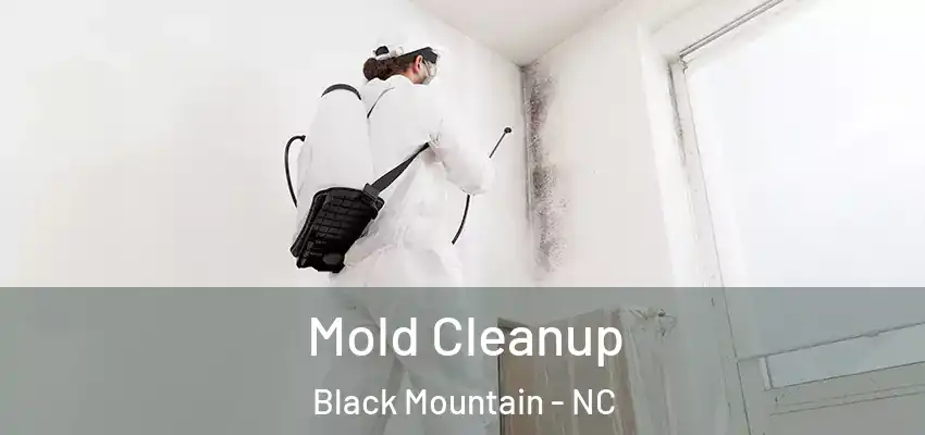  Mold Cleanup Black Mountain - NC