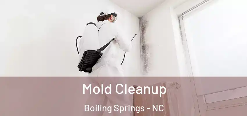  Mold Cleanup Boiling Springs - NC