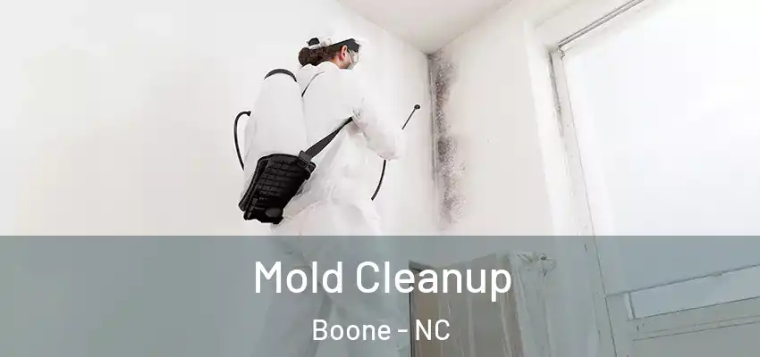  Mold Cleanup Boone - NC