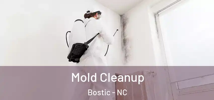  Mold Cleanup Bostic - NC