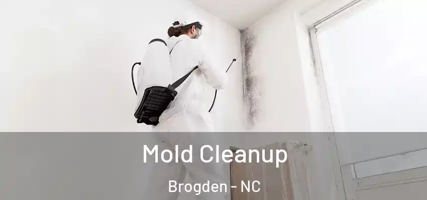  Mold Cleanup Brogden - NC