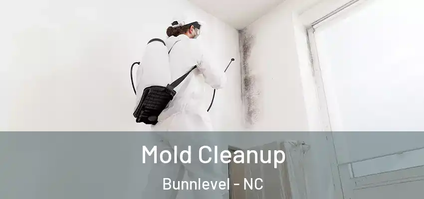 Mold Cleanup Bunnlevel - NC