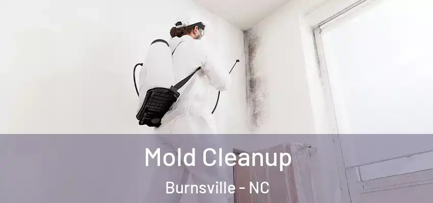  Mold Cleanup Burnsville - NC