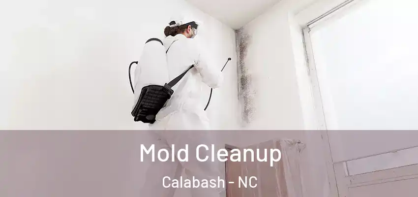  Mold Cleanup Calabash - NC