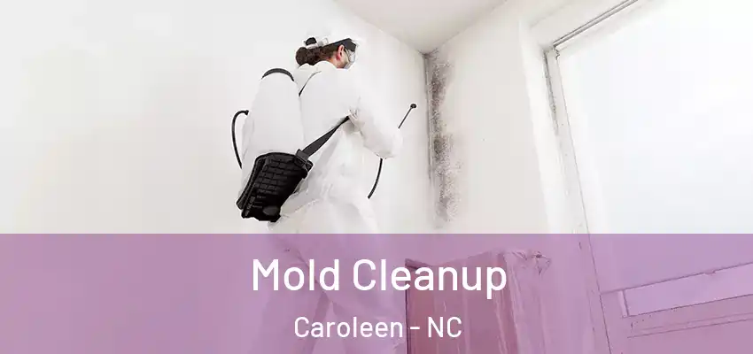  Mold Cleanup Caroleen - NC