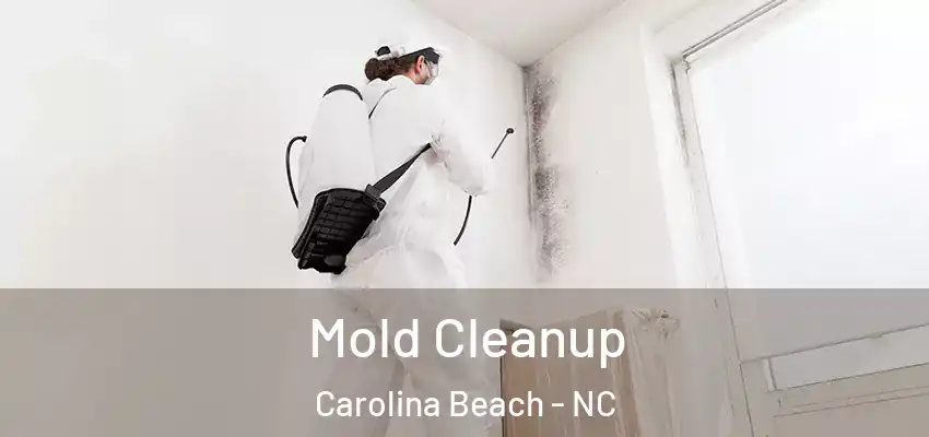  Mold Cleanup Carolina Beach - NC