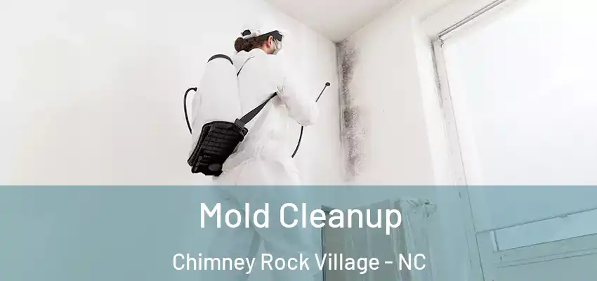  Mold Cleanup Chimney Rock Village - NC