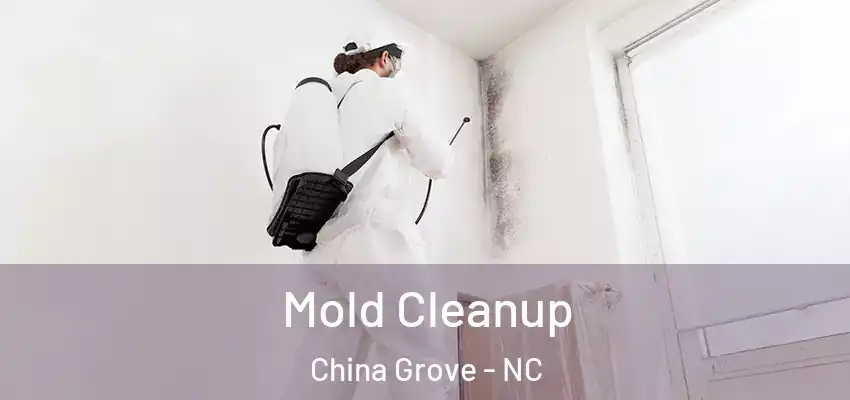  Mold Cleanup China Grove - NC