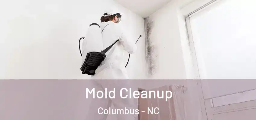  Mold Cleanup Columbus - NC