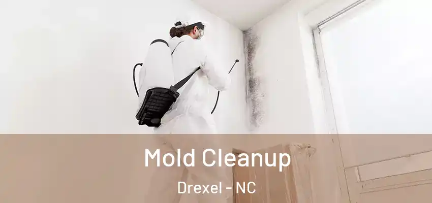 Mold Cleanup Drexel - NC