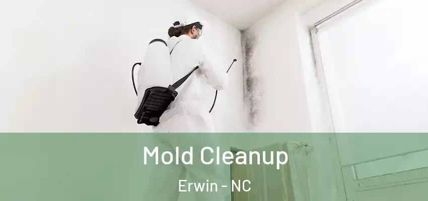 Mold Cleanup Erwin - NC