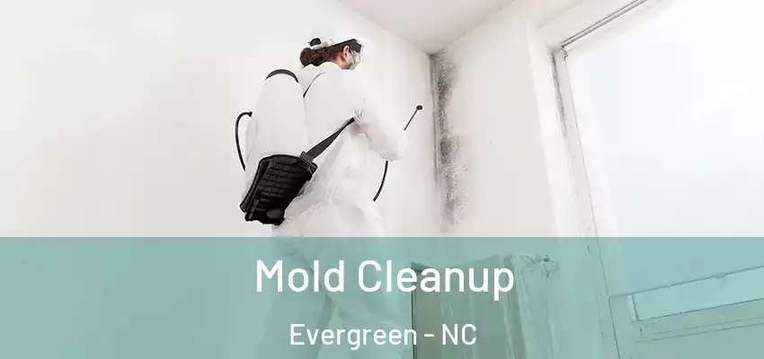  Mold Cleanup Evergreen - NC