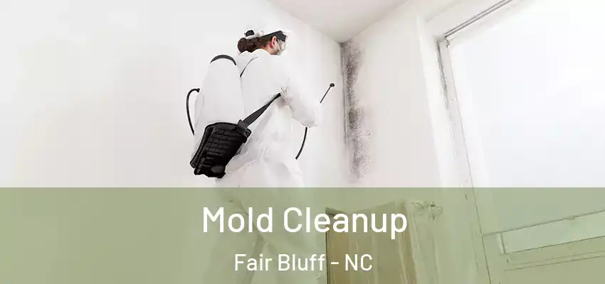  Mold Cleanup Fair Bluff - NC