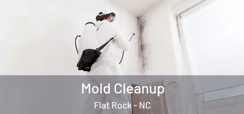  Mold Cleanup Flat Rock - NC
