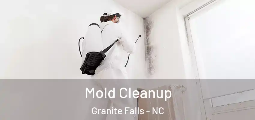 Mold Cleanup Granite Falls - NC