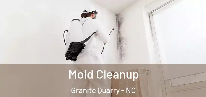  Mold Cleanup Granite Quarry - NC