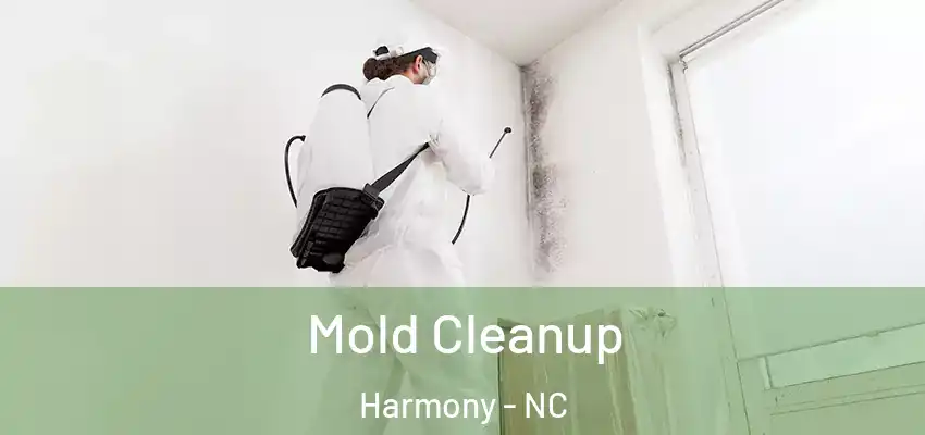 Mold Cleanup Harmony - NC