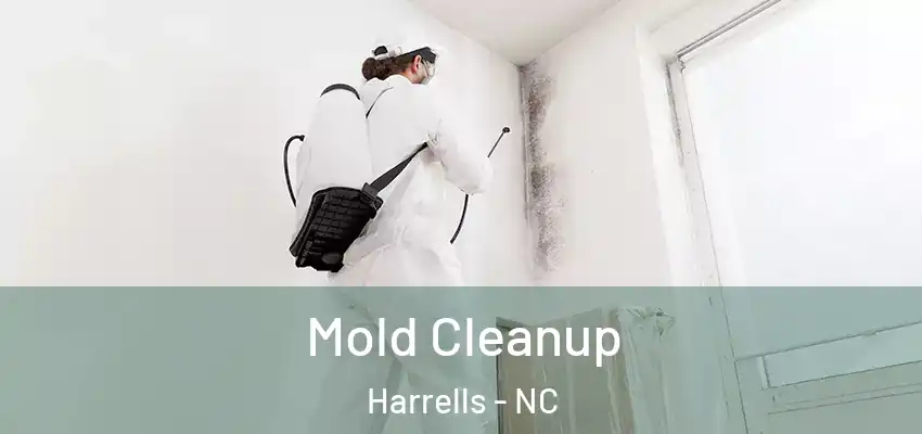 Mold Cleanup Harrells - NC