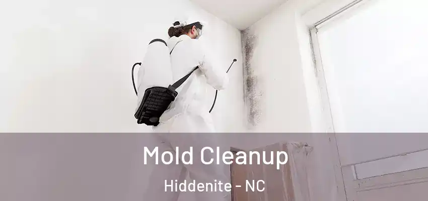 Mold Cleanup Hiddenite - NC
