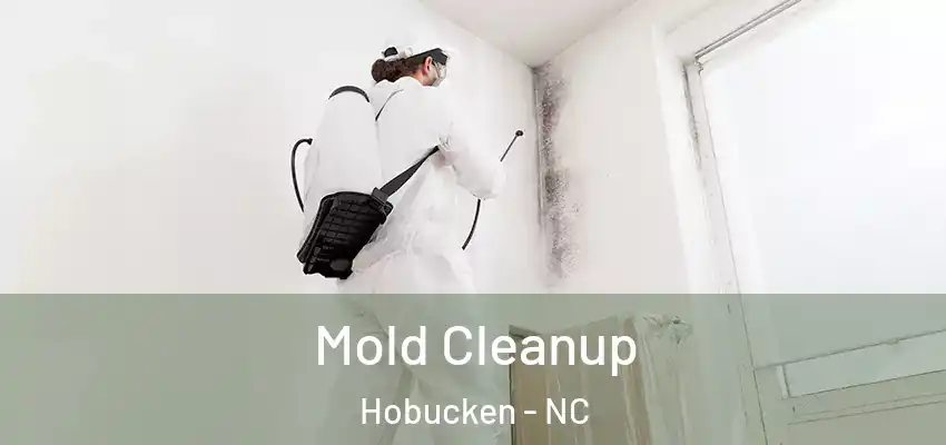 Mold Cleanup Hobucken - NC