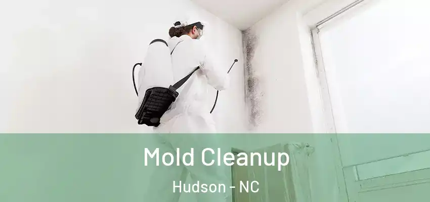 Mold Cleanup Hudson - NC