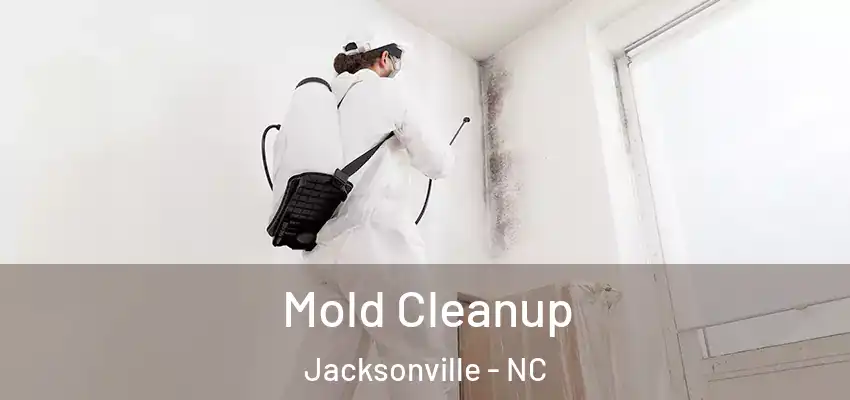 Mold Cleanup Jacksonville - NC