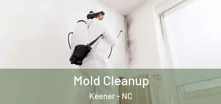  Mold Cleanup Keener - NC