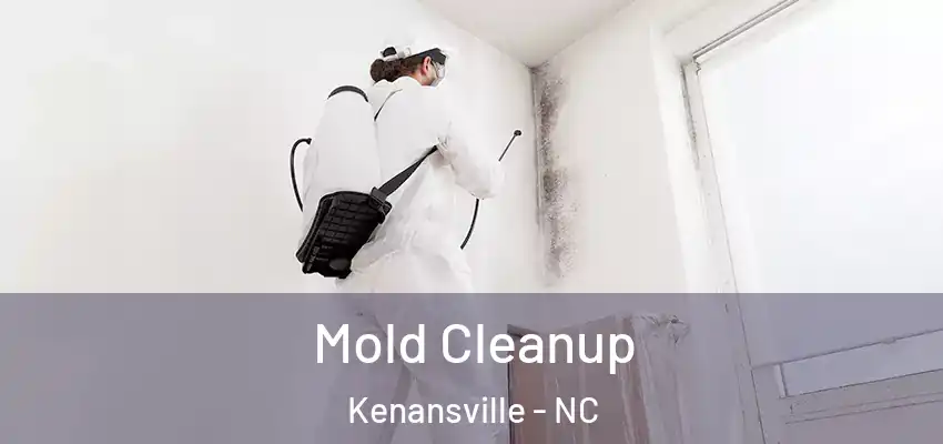  Mold Cleanup Kenansville - NC