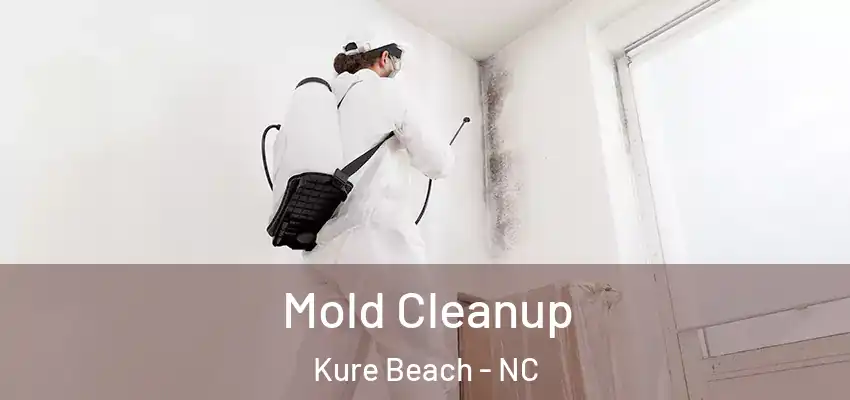  Mold Cleanup Kure Beach - NC