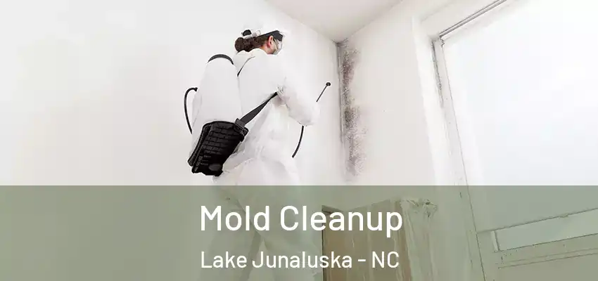 Mold Cleanup Lake Junaluska - NC