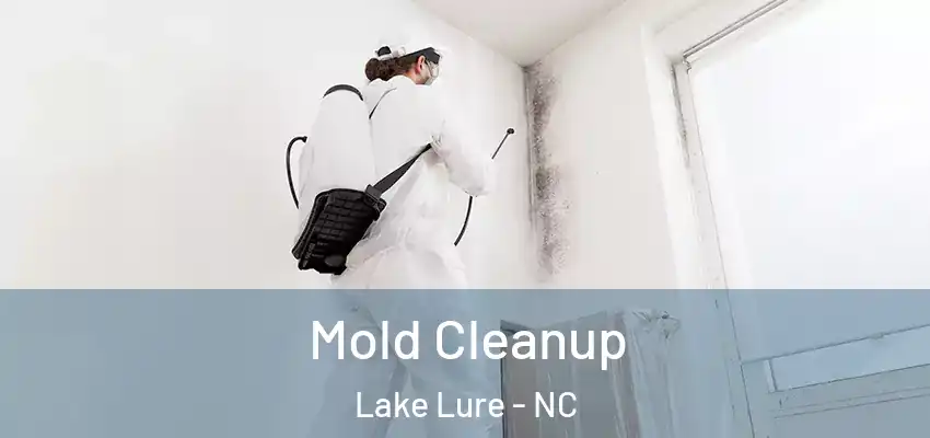  Mold Cleanup Lake Lure - NC